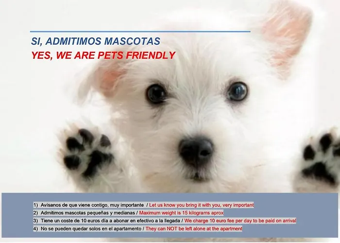 Www Goyahospitales Es * 레온